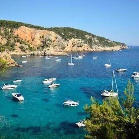 T2 Avec Piscine Gratuite, Parking Privatif, A 200m De La - Animaux Acceptes - Fr-1-316-336 Appartement Six-Fours-les-Plages