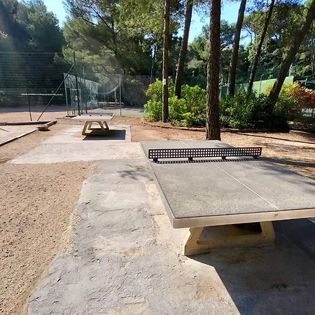 T2 Avec Piscine Gratuite, Parking Privatif, A 200m De La - Animaux Acceptes - Fr-1-316-336 Appartement Six-Fours-les-Plages