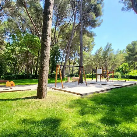 Appartement T2 Avec Piscine Gratuite, Parking Privatif, A 200m De La - Animaux Acceptes - Fr-1-316-336
