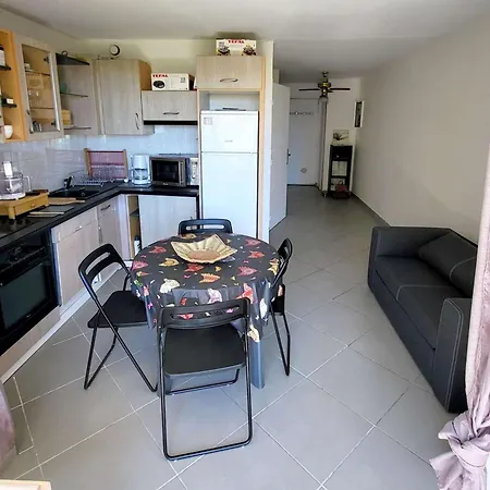 Appartement T2 Avec Piscine Gratuite, Parking Privatif, A 200m De La - Animaux Acceptes - Fr-1-316-336 *